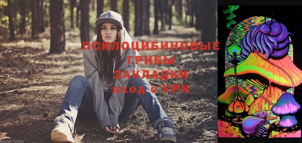 мдпв Осинники