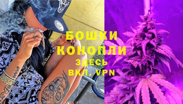 дурь Пестово