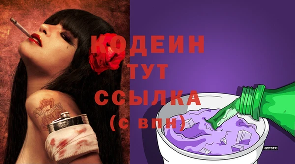 дурь Пестово