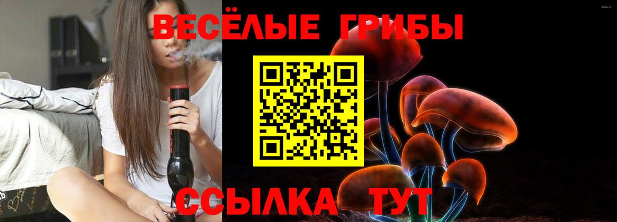 Лениногорск  Галлюциногенные грибы мухоморы  Вход с VPN 