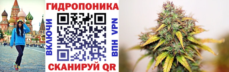 МАРИХУАНА план  купить закладку  Лениногорск 